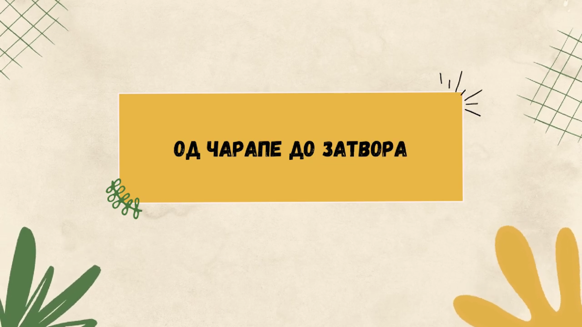 Успех нашег дома на филмском фестивалу у Јагодини