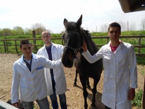 603153 veterinari-4svilajnacg.j. origh