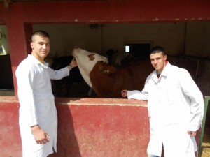 603165 veterinari-16svilajnacg.j. origh