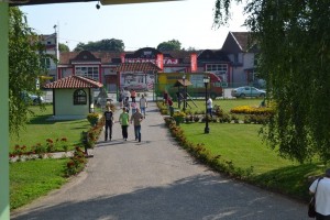 DSC 0008-1