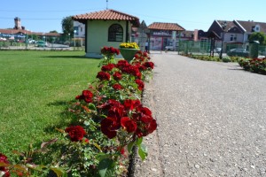 DSC 0011