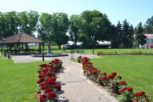 DSC 0013