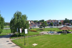 DSC 0030