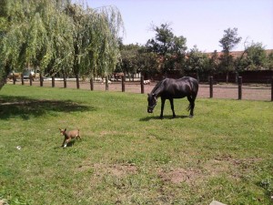 Fotografija0308