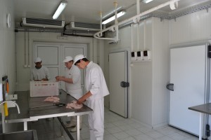 KABINETI 2